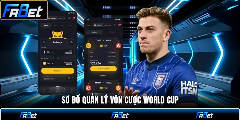 Sơ đồ quản lý vốn cược world cup